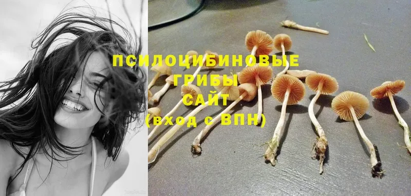 Галлюциногенные грибы GOLDEN TEACHER  сколько стоит  Челябинск 